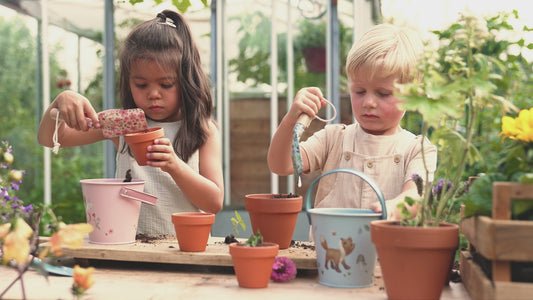 Pot with Seeds for Planting - Strawberries - Little Dutch